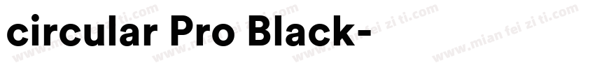 circular Pro Black字体转换
